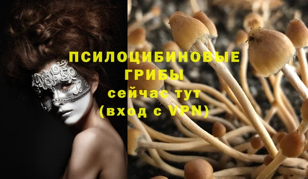 мет Балахна