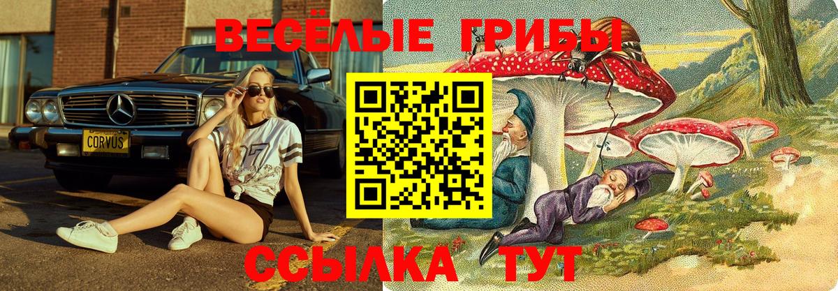 Псилоцибиновые грибы ЛСД  Вход с VPN  Семилуки  Псилоцибиновые грибы Magic Shrooms 